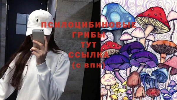 спиды Алзамай