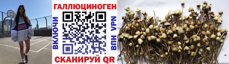 Псилоцибиновые грибы мухоморы Карачев